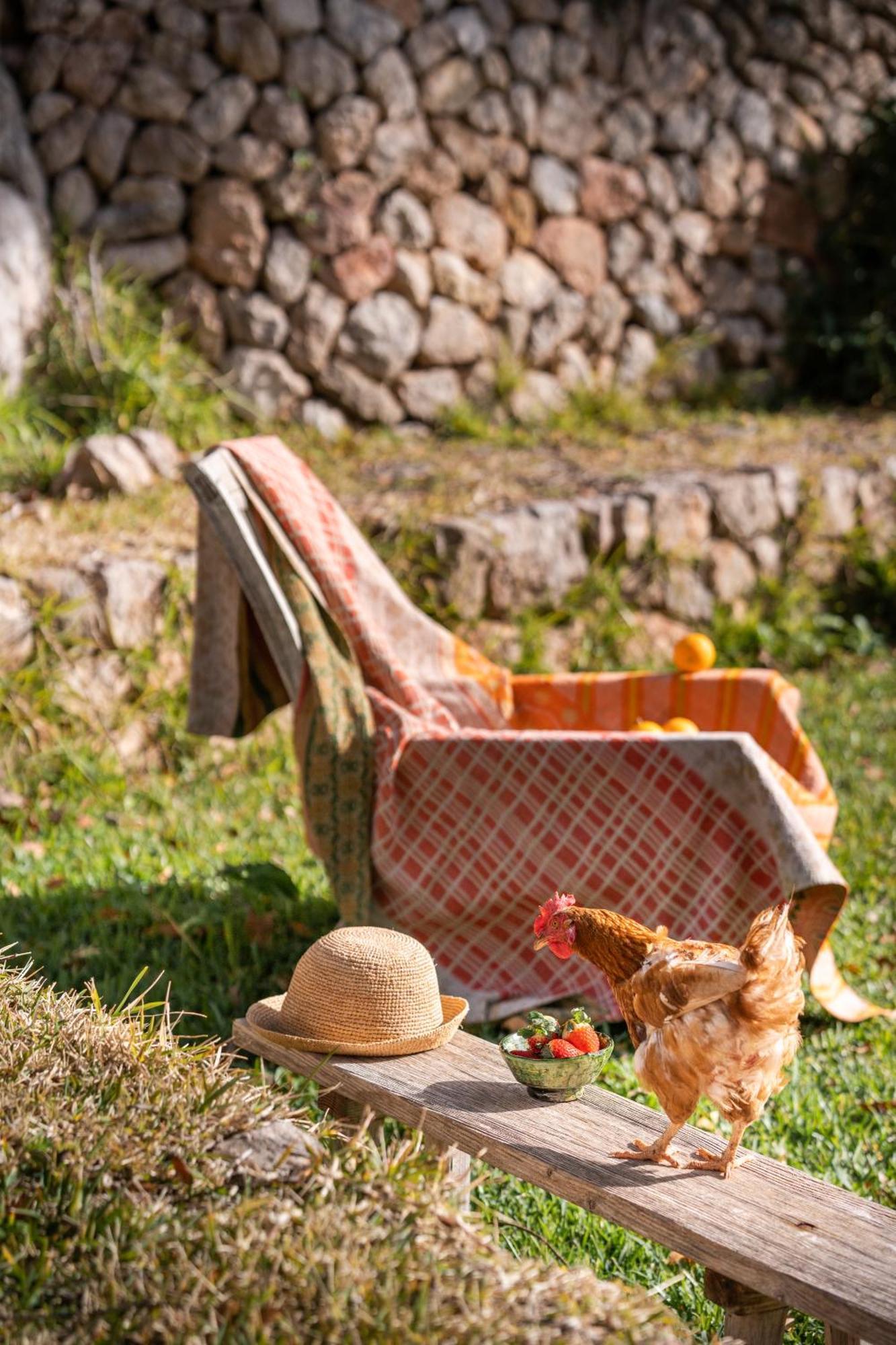 Agroturismo Son Viscos Valldemossa Kültér fotó