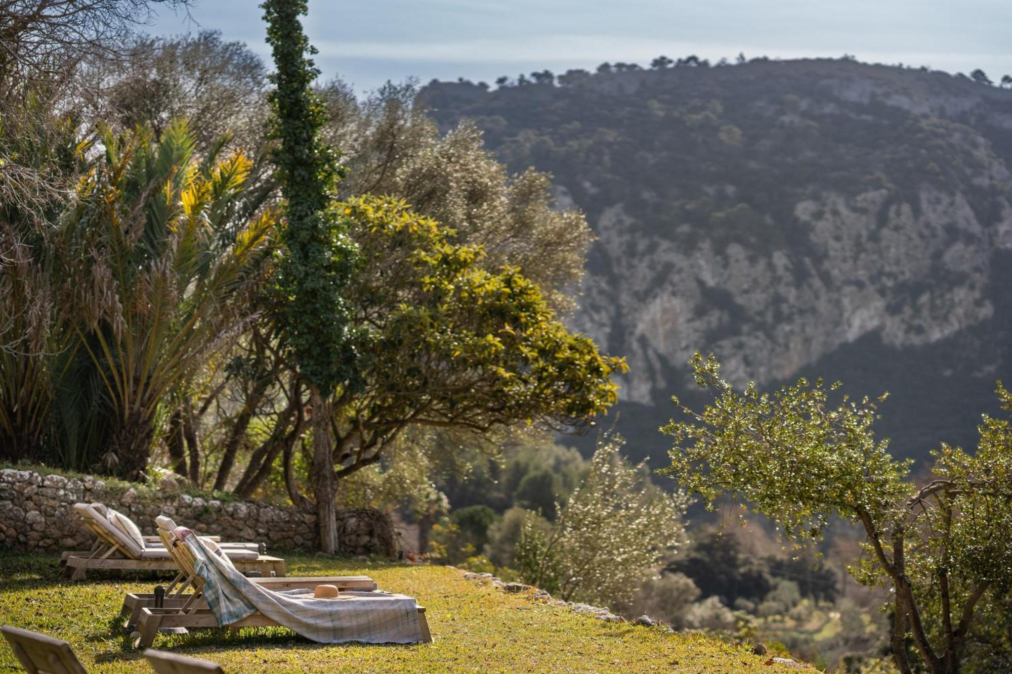 Agroturismo Son Viscos Valldemossa Kültér fotó