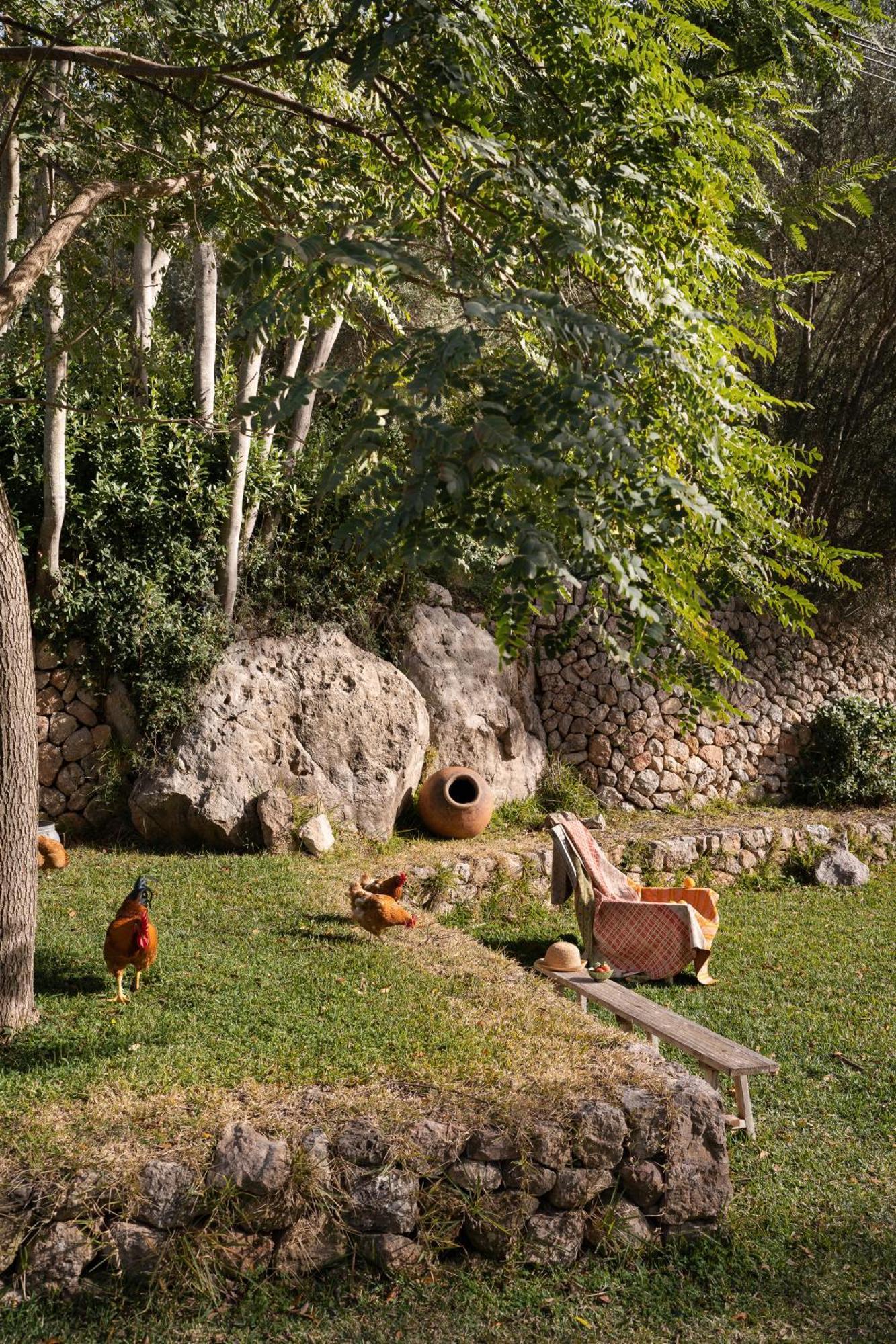 Agroturismo Son Viscos Valldemossa Kültér fotó